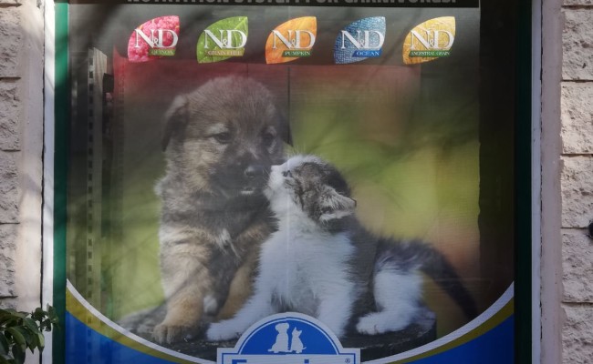 europet_1